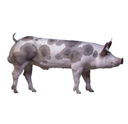 TN-Select-without-background-NV-00473_1920--Photo_Jens_Haugen