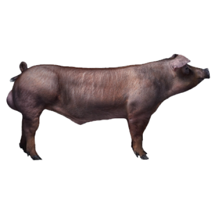 TN-Talent-without-background-NV-00475_1920--Photo_Jens_Haugen